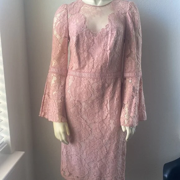Tadashi Shoji | Dresses | Tadashi Shoji Petal Pink Lace Dress | Poshmark Tadashi Shoji | Dresses | Tadashi Shoji Petal Pink Lace Dress | Poshmark